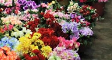 Petz Inicia Venda de Flores