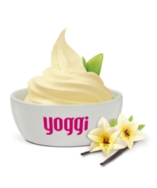 Yoggi D um Ano de Frozen Yogurt Grtis