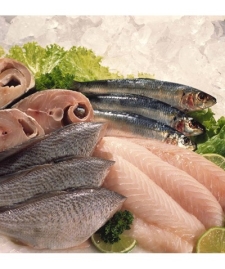 Pescados Invadem Maior Feira de Supermercados