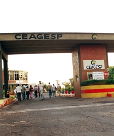 CEAGESP Promove a Rotulagem no Dia Mundial da Alimentao