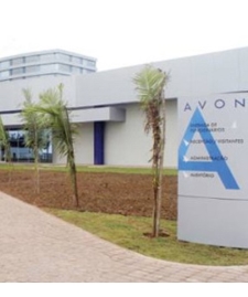 Avon: Lucro Cai Mais 40%