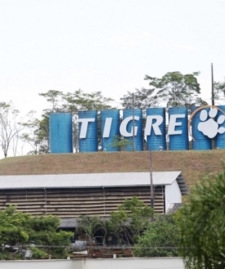 Tigre Cria Diretoria de TI